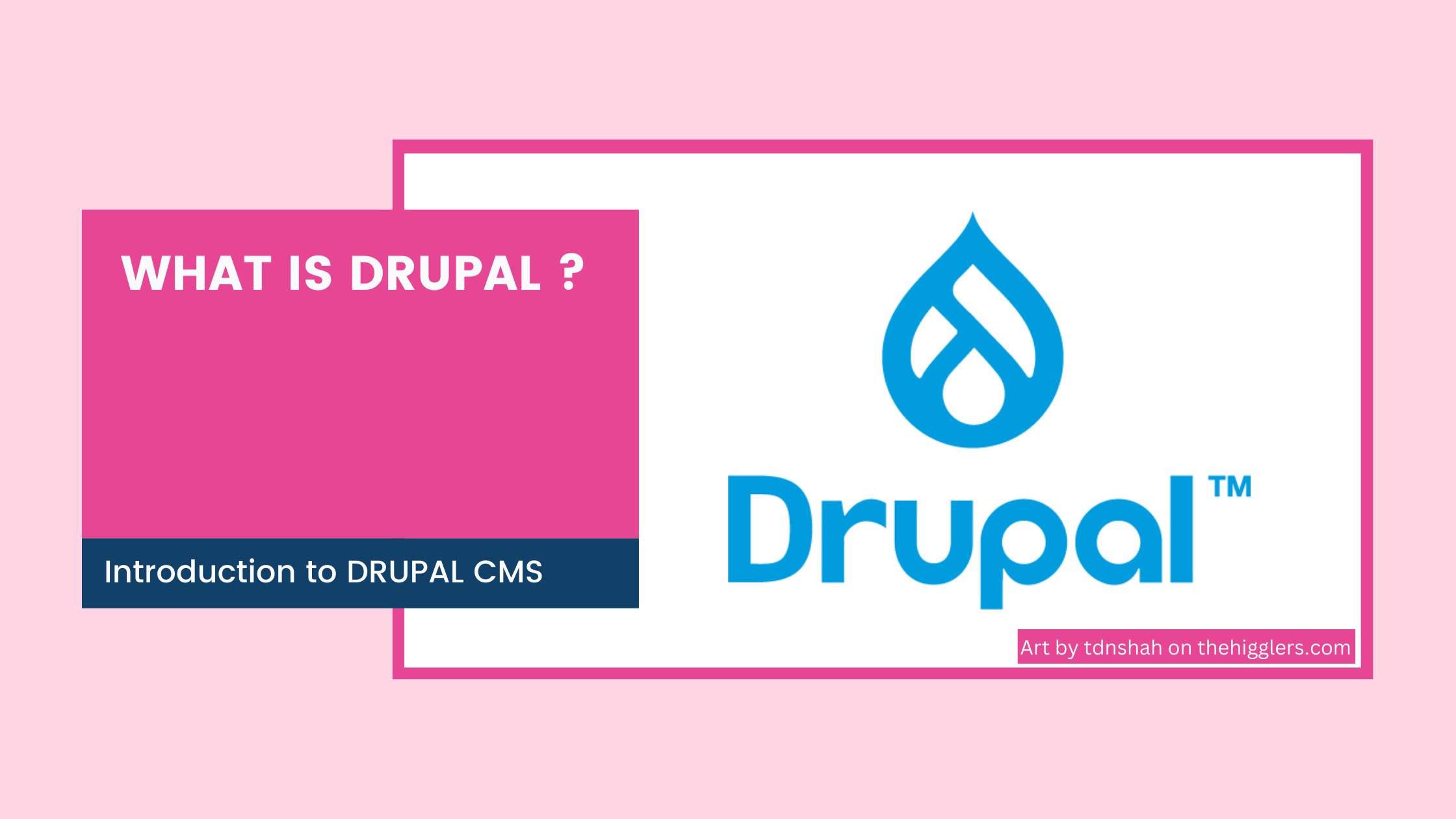 Drupal Logo Transparent